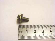 Болт М6х10 с зуб. бурт (50)