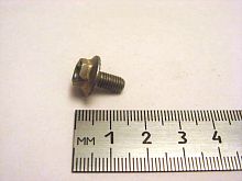 Болт М5х10 с зубч. бурт. (зад. двери)