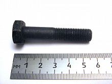 Болт М10х1,25х50 перед. амортизатор 2101 (чёрн.) (20)