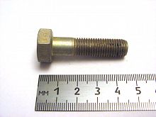Болт М10х1,25х40 кронштеина генератора 2101 (20)