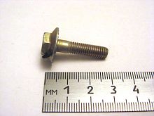 Болт М6х25 с зубч. буртиком (50)