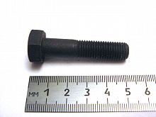 Болт М10х1,25х45 (чёрн.) шкив распредвала 2112  (20)