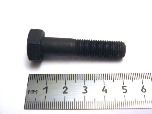 Болт М10х1,25х45 (чёрн.) шкив распредвала 2112  (20)