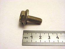 Болт М8х20 с зубч.бурт. (бампер 2101) (20)